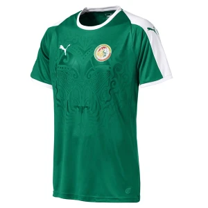 Senegal 2018 WM Auswärtstrikot