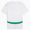 Senegal Fußballtrikot 2025 Heimtrikot Herren