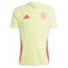 Williams Jr. #17 Spanien Fußballtrikot EM 2024 Auswärtstrikot Herren