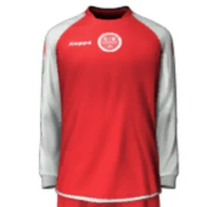 Stade de Reims 2010-11 Heimtrikot