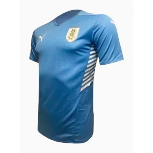 Uruguay 2021 Heimtrikot