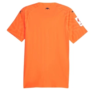 Valencia CF Fußballtrikot 2023-24 Ausweichtrikot Herren