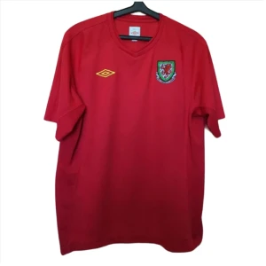 Wales 2010 Heimtrikot