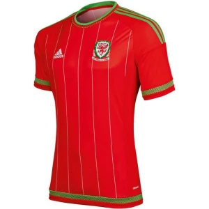 Wales 2015 Heimtrikot
