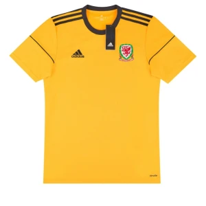 Wales 2017 Ausweichtrikot