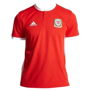 Wales 2018 Heimtrikot