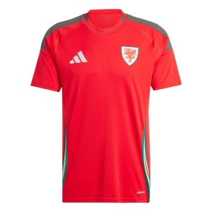 Wales 2024 Heimtrikot