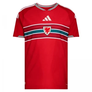 Wales Fußballtrikot 2026 Heimtrikot Herren