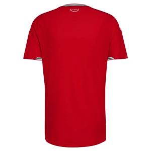 Wales Fußballtrikot 2026 Heimtrikot Herren