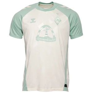 Werder Bremen 2024-25 Auswärtstrikot