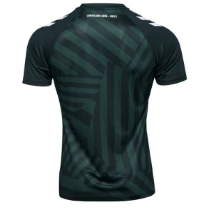 Werder Bremen Fußballtrikot 2023-24 Ausweichtrikot Herren