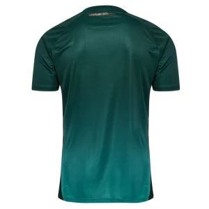 Werder Bremen Fußballtrikot 2025-26 Ausweichtrikot Herren